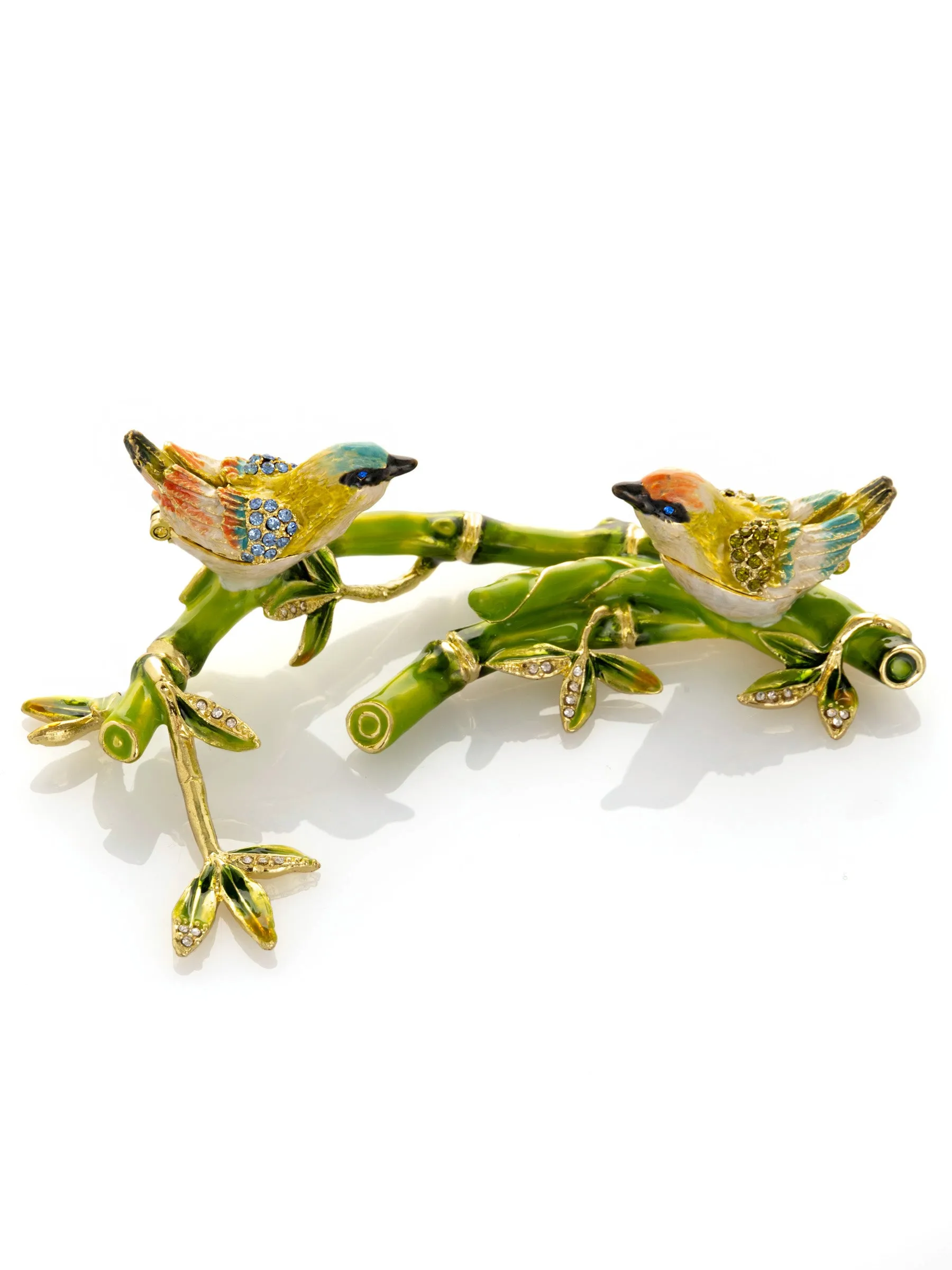 Birds on a Branch