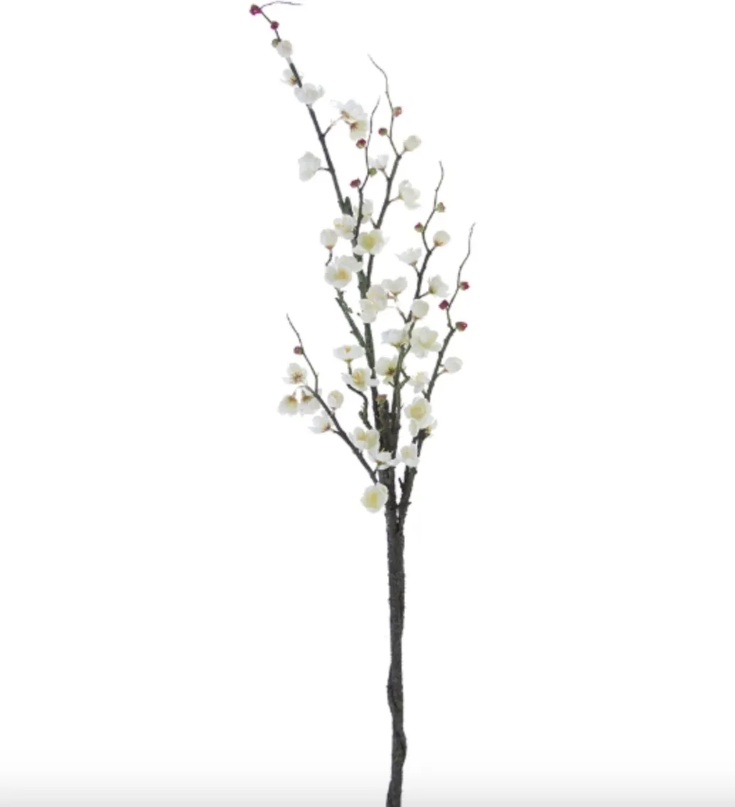 Cream Plum Blossom