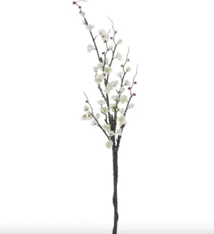 Cream Plum Blossom