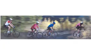 Cycles SN71138F Wallpaper Border