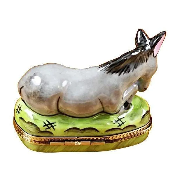 Donkey