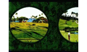Golf SC4162B Wallpaper Border