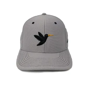 Grey Hat Black Birdie