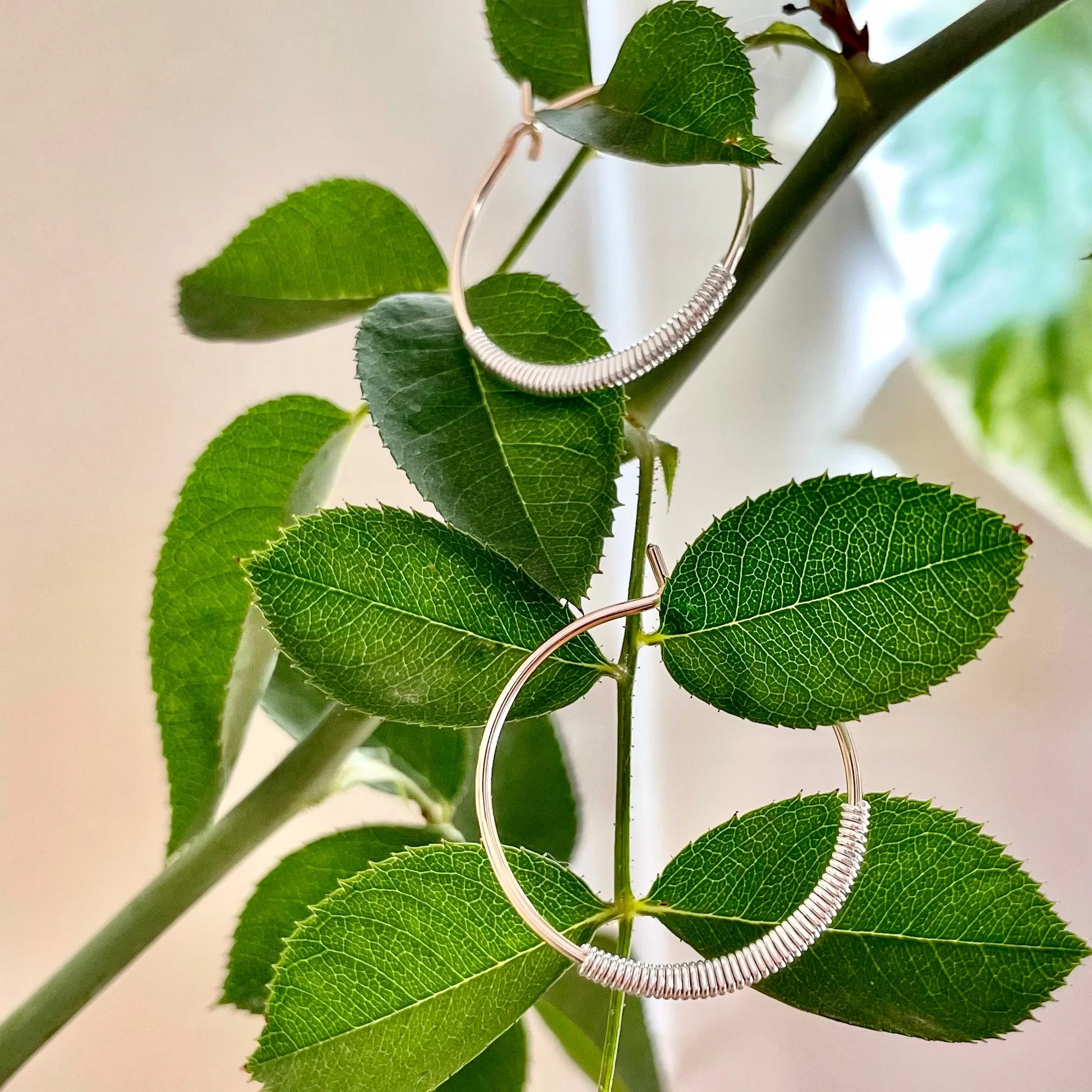 HELIX Hoops
