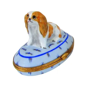 King Charles Spaniel Dog