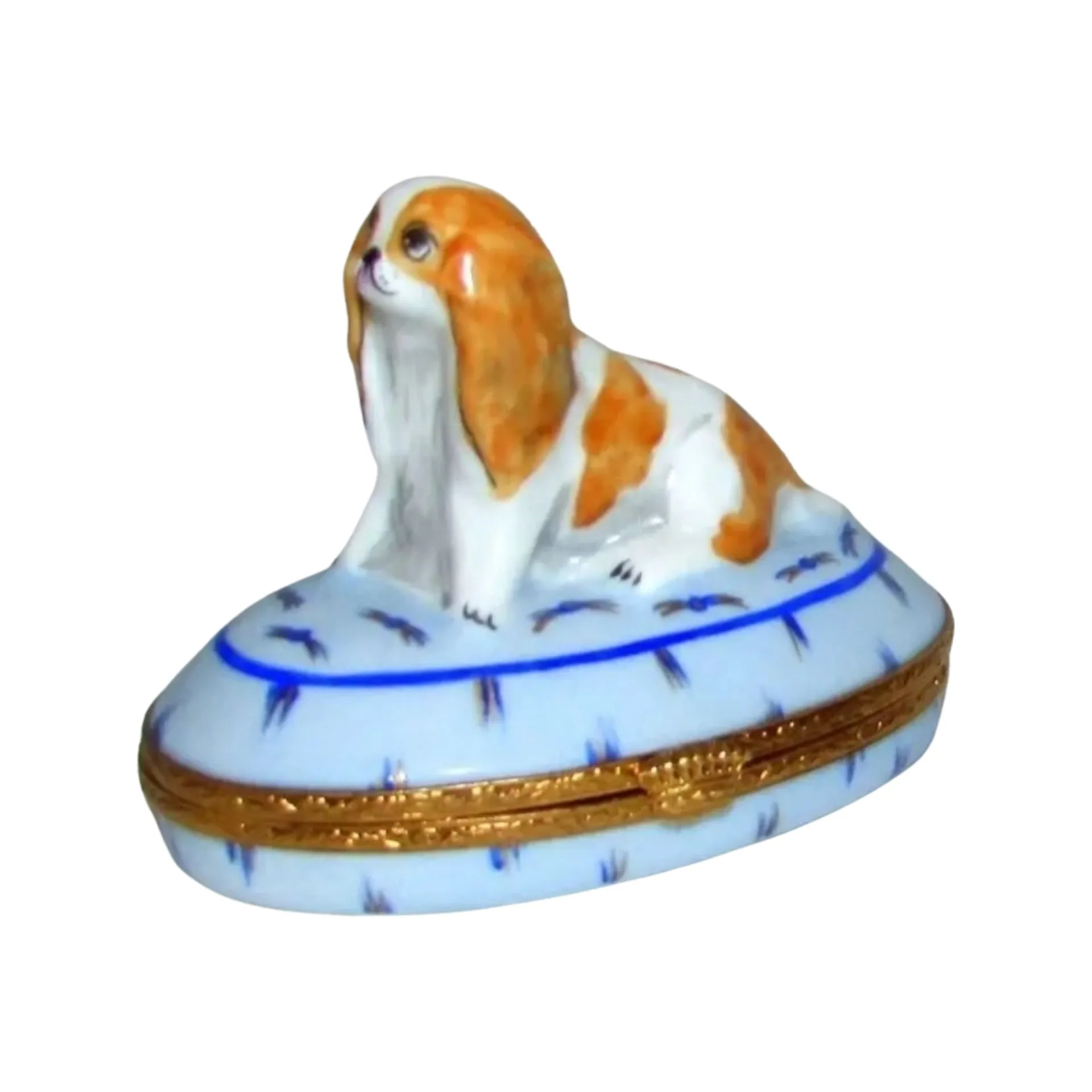 King Charles Spaniel Dog