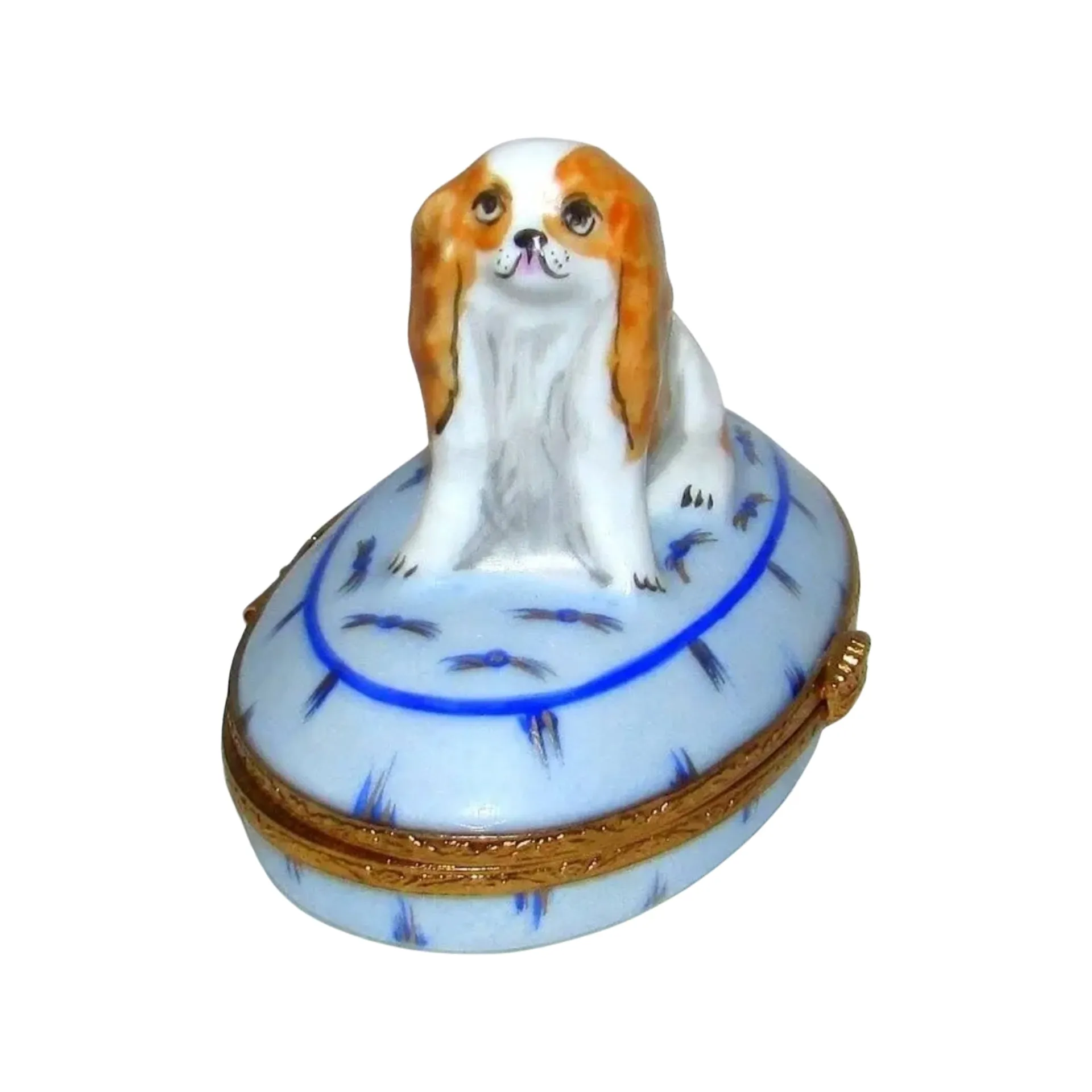 King Charles Spaniel Dog