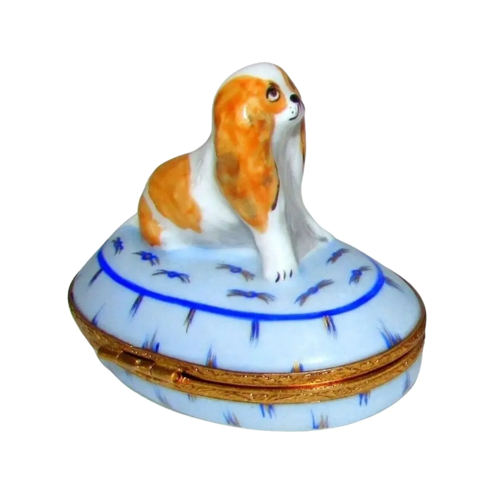 King Charles Spaniel Dog