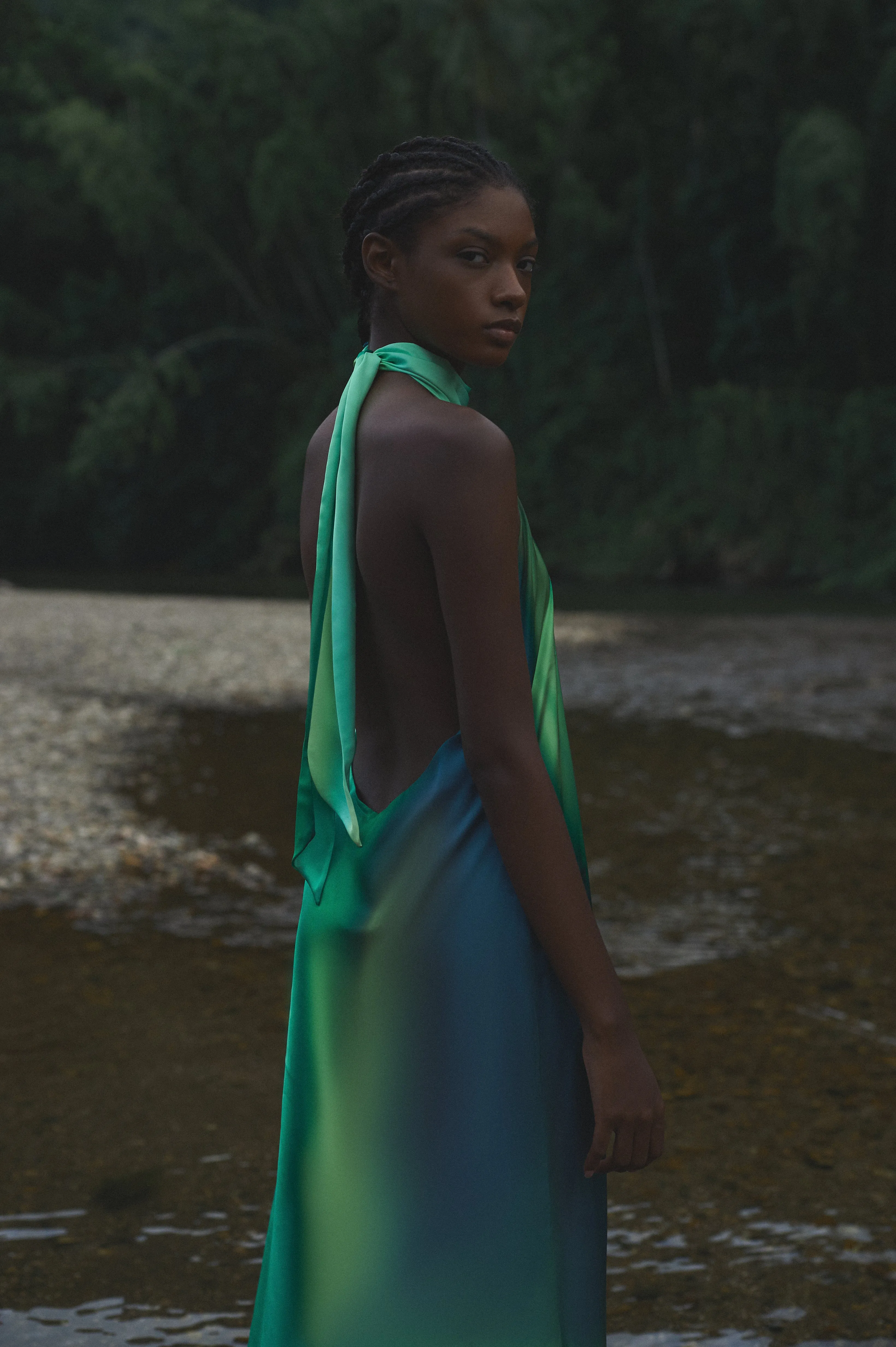 Magia Salvaje Maxi Dress