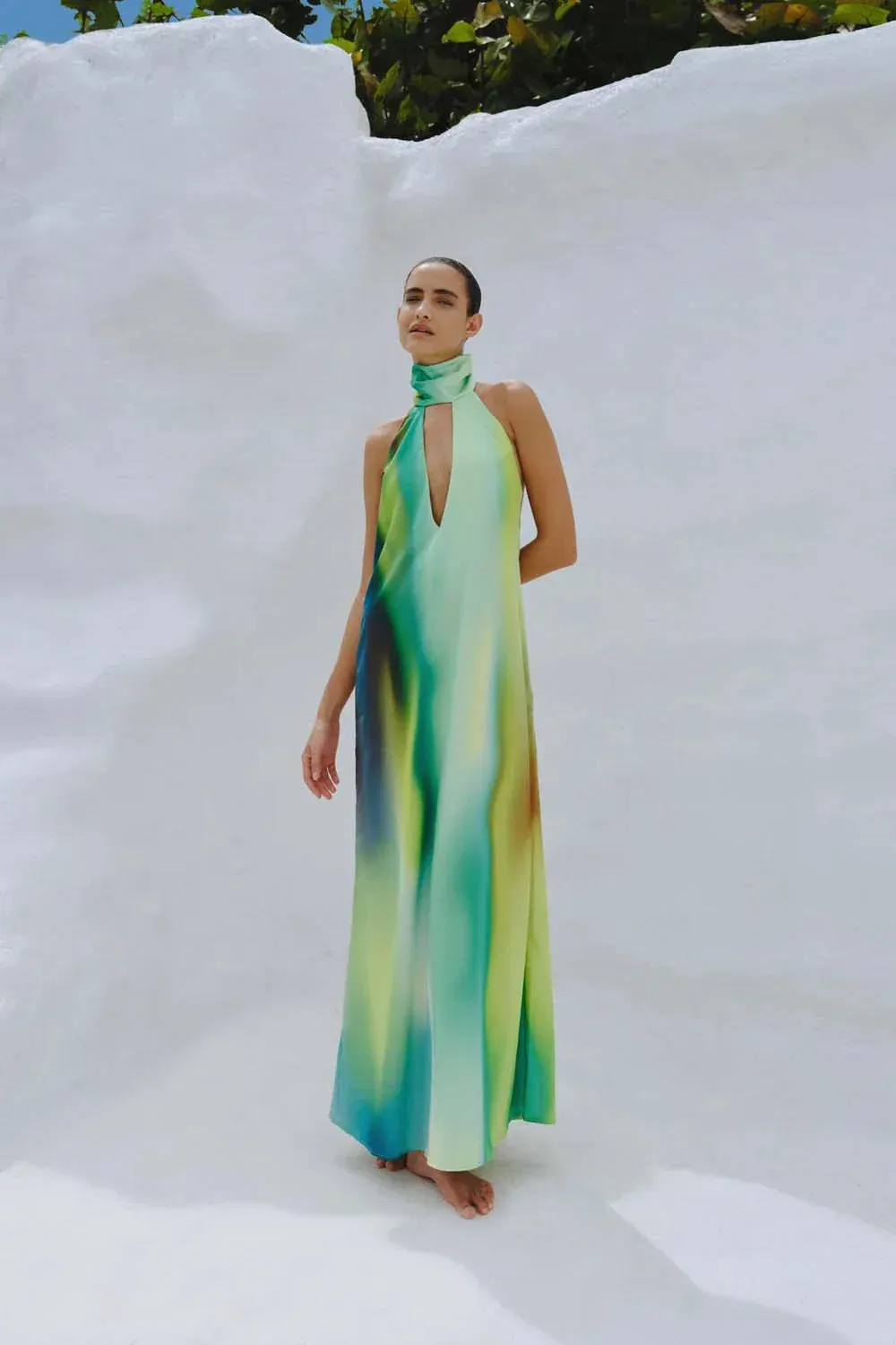 Magia Salvaje Maxi Dress