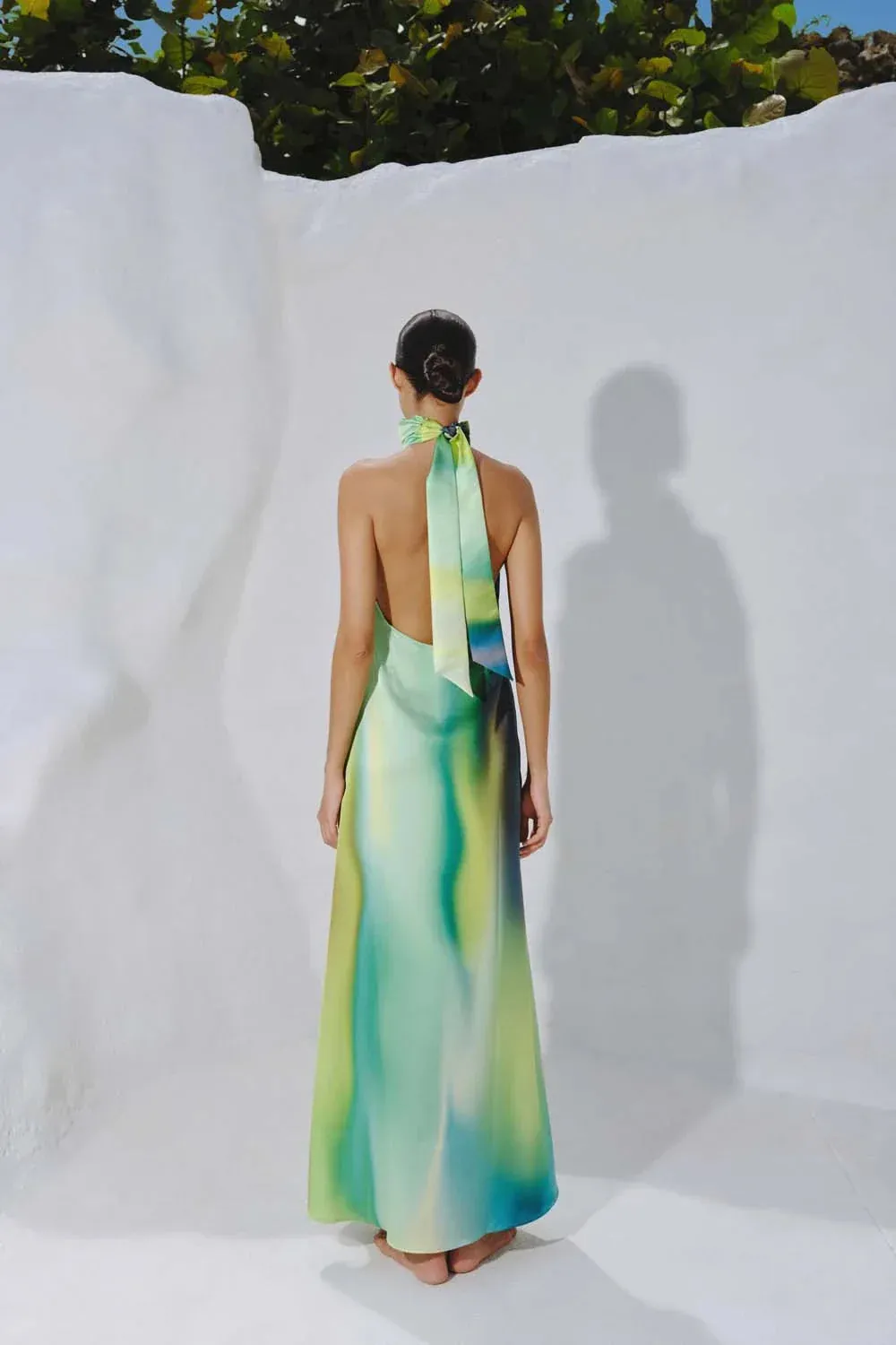Magia Salvaje Maxi Dress