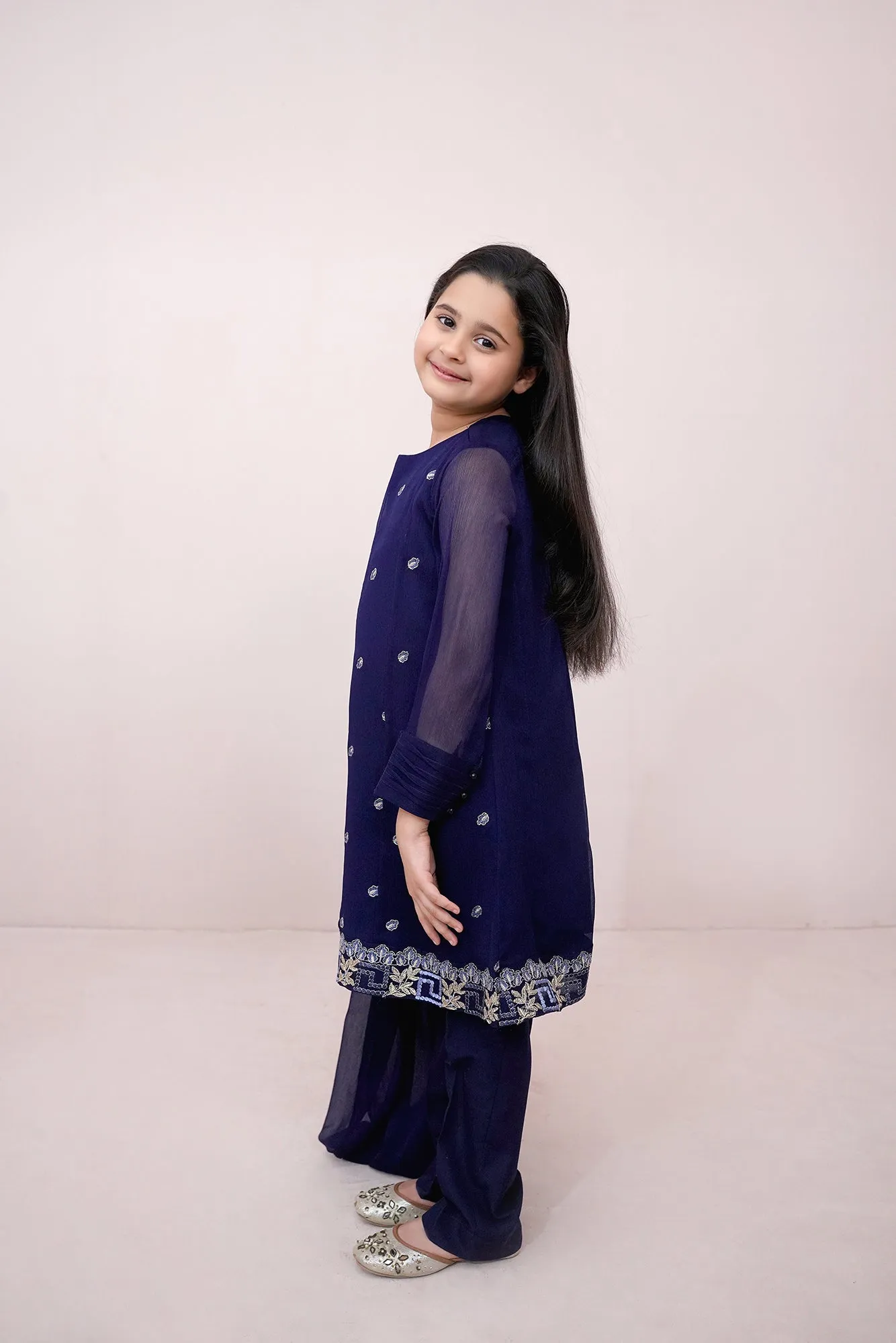 Navy blue Embroidered Chiffon