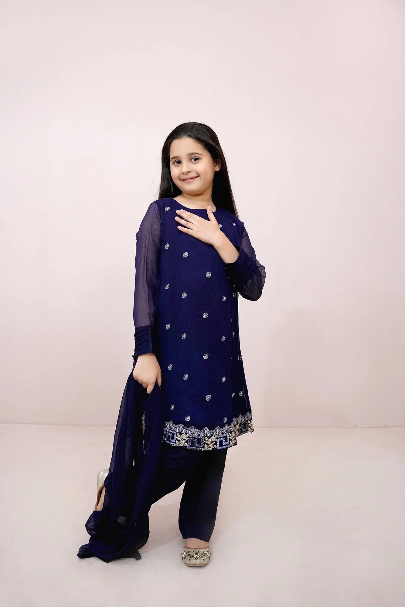Navy blue Embroidered Chiffon