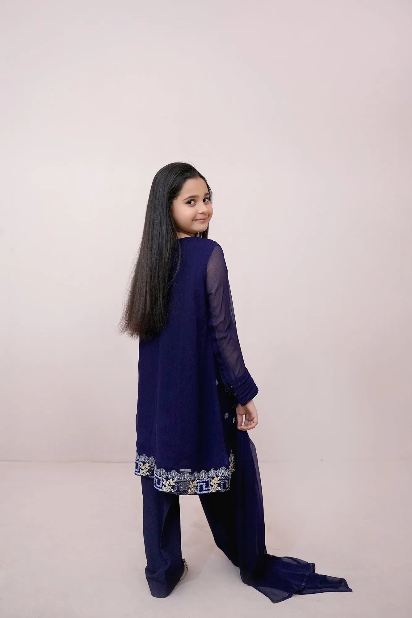 Navy blue Embroidered Chiffon
