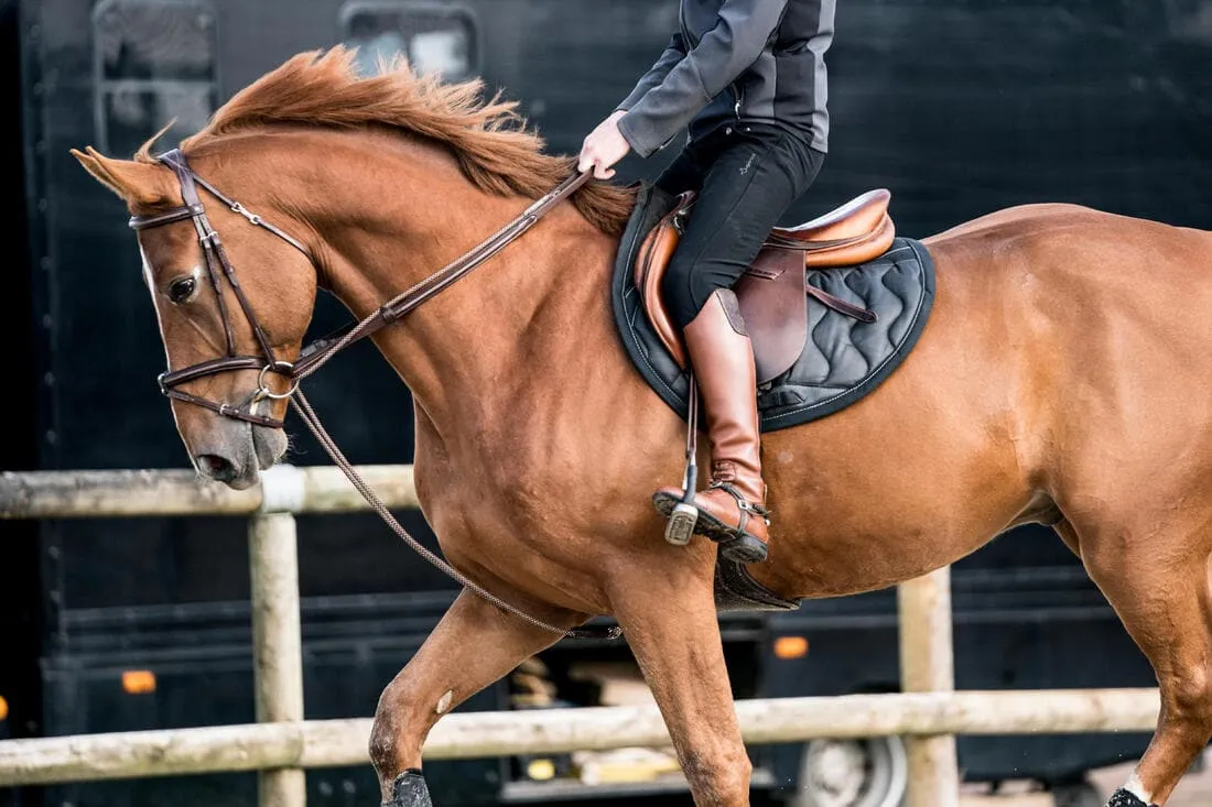 Rênes allemandes Cheval et Poney - Roméo marrons