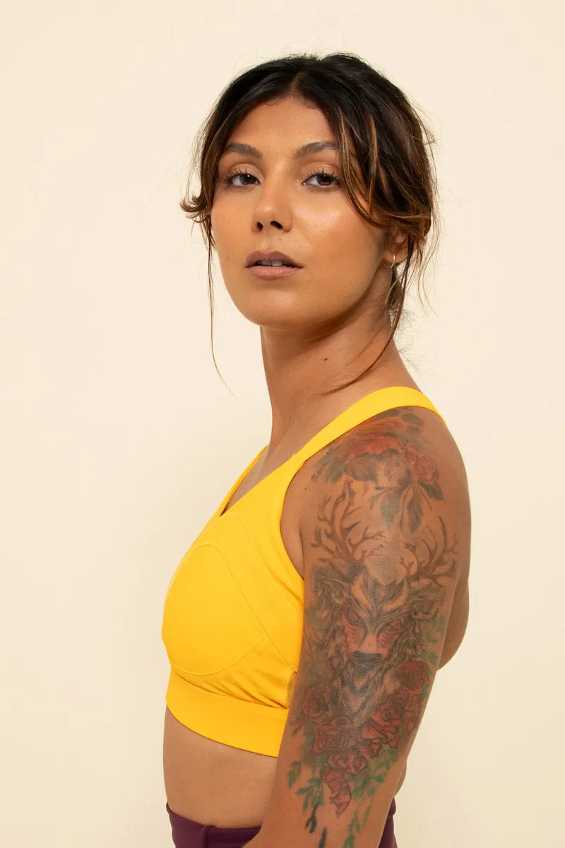 Solidarity High-Impact Sports Bra