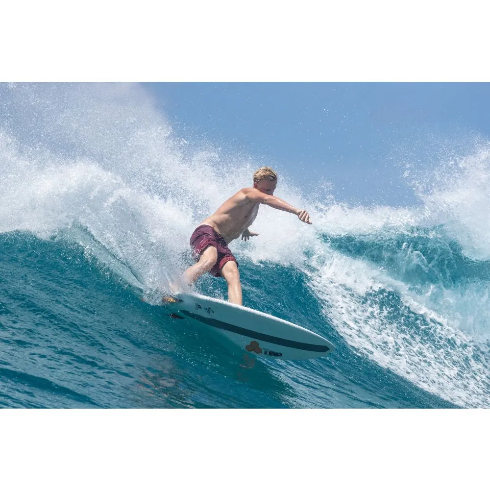 TORQ AL MERRICK X-LITE POD MOD 6'6 BLUE
